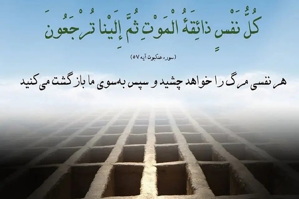 درپوش تصویر کارت